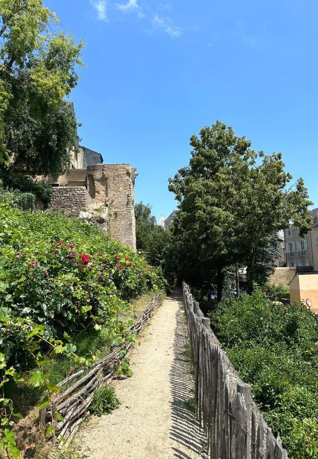 Appartement Vieux Mans Le Mans Dış mekan fotoğraf